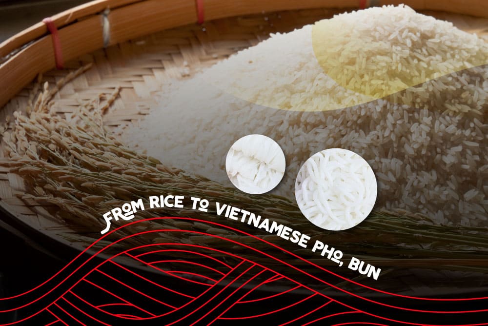 From rice to vietnam pho bun